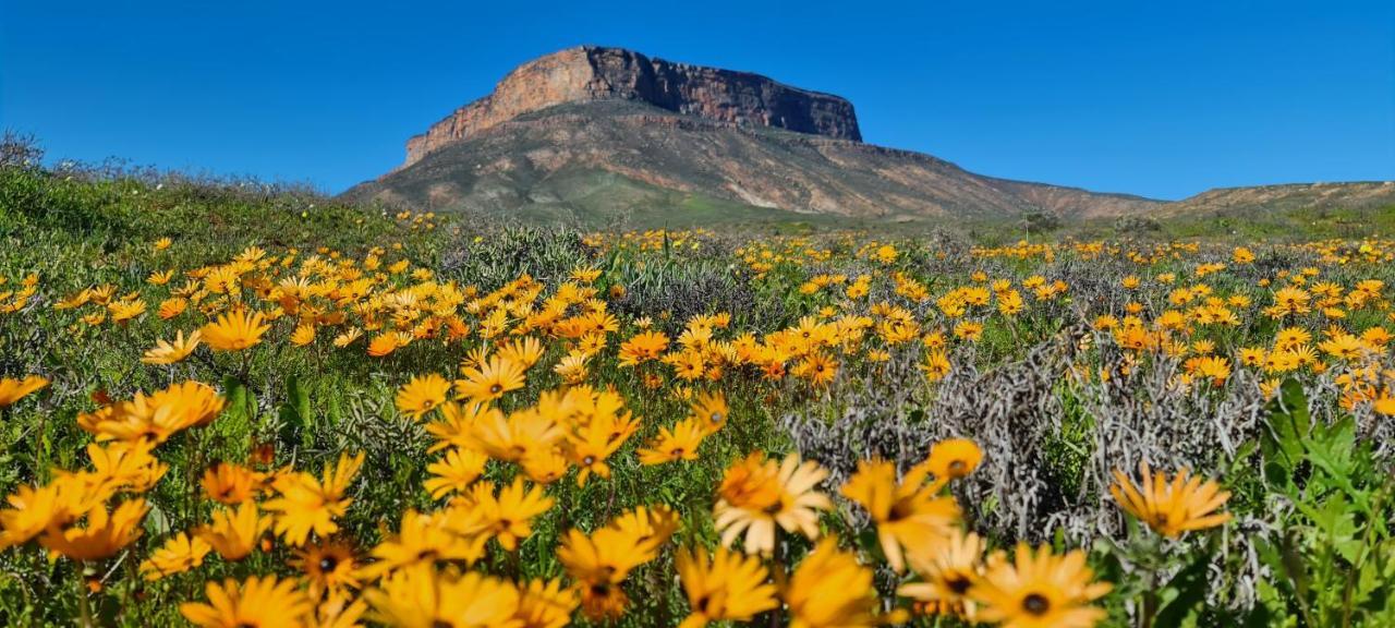 Mountain View Guesthouse Vanrhynsdorp Bagian luar foto