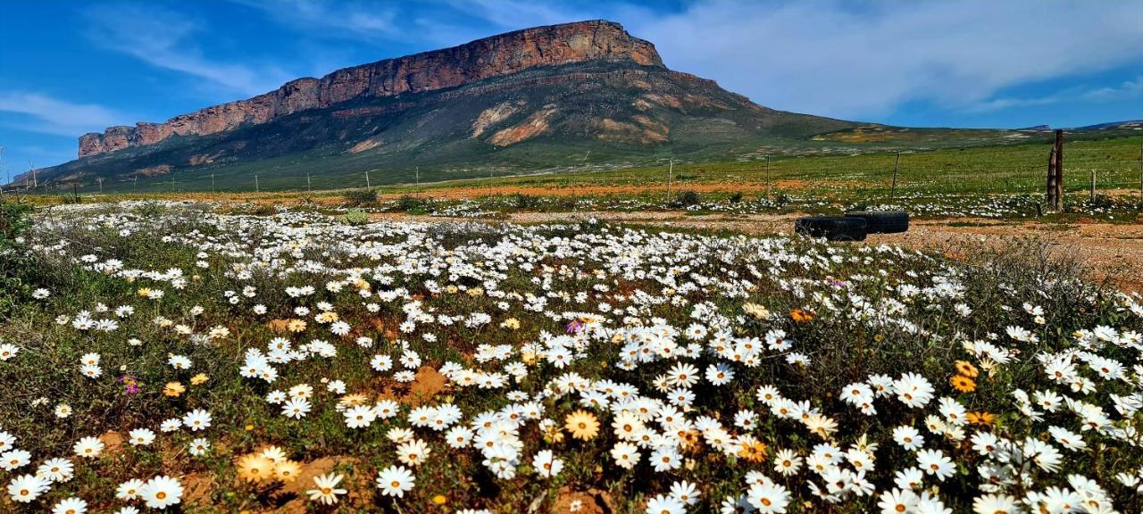 Mountain View Guesthouse Vanrhynsdorp Bagian luar foto
